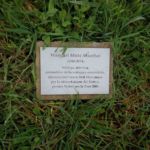 Giardino dei Giusti a Perugia