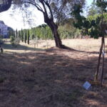 Giardino dei Giusti a Perugia
