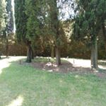 PARCO RIMEMBRANZA CROCE ROSSA ITALIANA FIRENZE