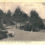 Veduta degli alberi piantati in memoria dei caduti della Prima Guerra Mondiale