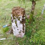 stele - particolare foto