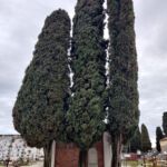 Lapide Bligny - collocazione